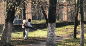 Внимательнее следите за детьми и питомцами: нижегородские парки буду обрабатывать от клещей 