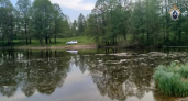 Два человека утонули за прошедшие сутки в Нижегородской области