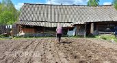 Нижегородским дачникам рассказали, как не обанкротиться на "коммуналке" летом