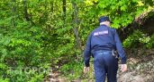 В Дзержинске месяц искали любителя освобождать чужие холодильники