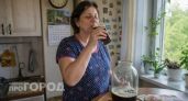 Готовим вкуснейший домашний квас из буханки хлеба: на смену вредным газировкам и пиву