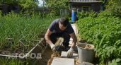 Почему у американцев нет сорняков на дорожках из плитки: мы мучаемся, а они решают проблему заранее