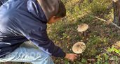 МЧС выпустило экстренное предупреждение на неделю для жителей Нижегородской области