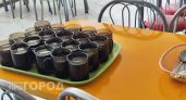 Новый ГОСТ в школьных столовых: школьникам всегда будут есть этот продукт каждый день