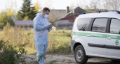 В селе Размазлей ввели карантин по бешенству и ограничили вывоз животных