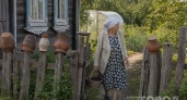 Бутылки и крынки на деревенских заборах висели неспроста: простой приём решал сразу несколько задач