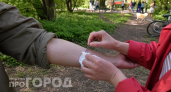 Где клещи чаще всего кусают жителей Нижегородской области - в лесах или на дачах