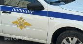 Дикорастущие кусты в лесу сделали из двух жителей Семеновского района уголовников