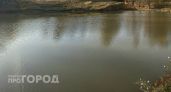 Ядовитый пруд у дач собираются уничтожить в Нижнем Новгороде