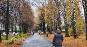 Обещали легкие миллионы: жительница Перевоза потеряла четверть миллиона на крипте