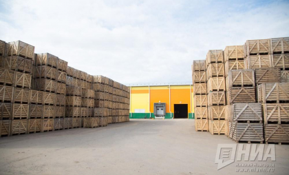 Оборот в $9,3 млрд при падении экспорта на 10%: Нижегородская область меняет неэффективную стратегию торговли