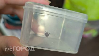 Девять случаев клещевого энцефалита выявили в Нижегородской области